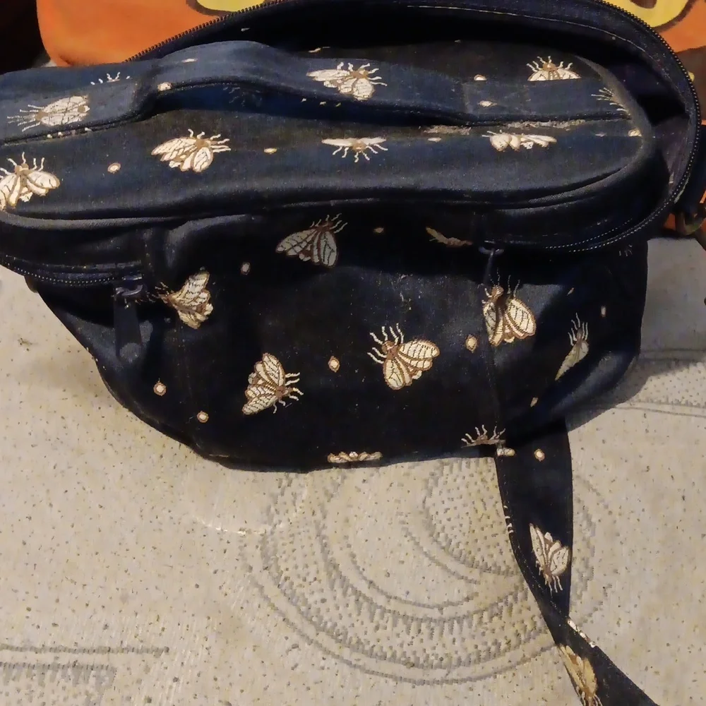 Makeup Bag or else
